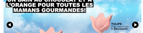 Ça sent bon, c&rsquo;est bio, c&rsquo;est Lush !
